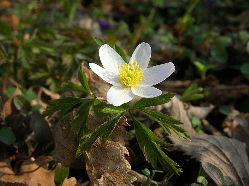 Aria di primavera...